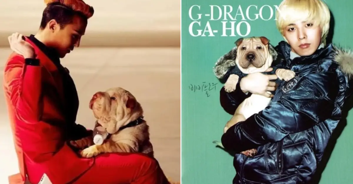 G-Dragon Faces Renewed Criticism Over Long-Standing Pet Controversy